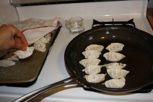 Line up gyoza in a hot pan